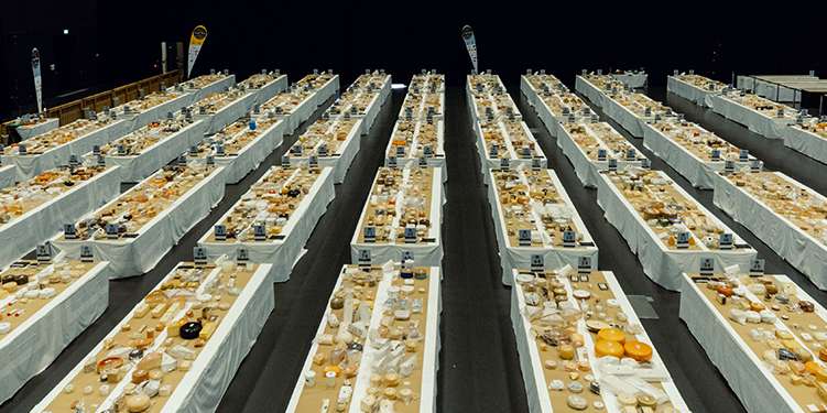 World Cheese Awards .jpg © Switzerland Cheese Marketing