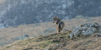 AdobeStock_1656790424 (c) Dario © Dario – stock.adobe.com