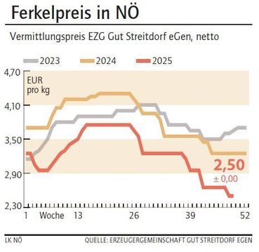 Grafik Ferkelpreis 49_2025.jpg © LK NÖ