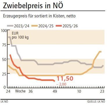 Grafik Zwiebelpreis 49_2025.jpg © LK NÖ