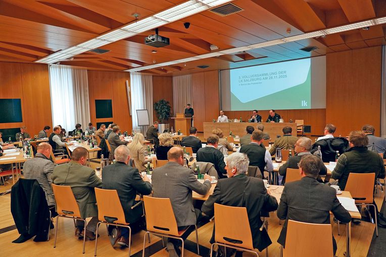 Vollversammlung  stimmt realistischem Budgetplan zu.jpg © Hatheier