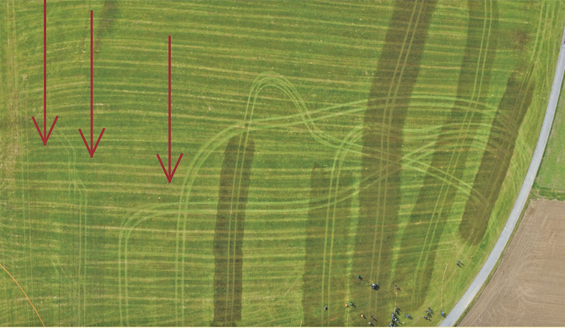 Die Weichen für eine  bodennahe Ausbringung noch heuer stellen  .jpg © Hölzl