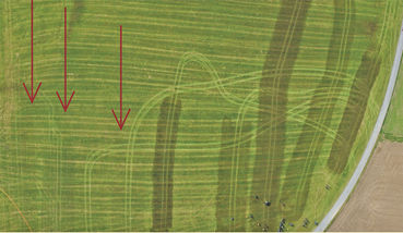 Die Weichen für eine  bodennahe Ausbringung noch heuer stellen  .jpg © Hölzl