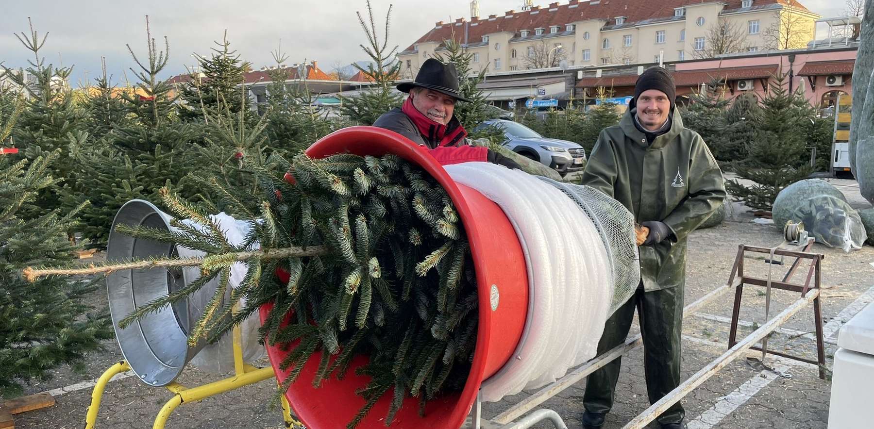 Kärntner Christbaum@Kopp.jpg © Michael Kopp