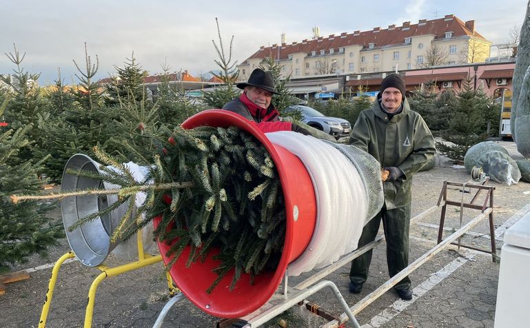 Kärntner Christbaum@Kopp © Michael Kopp