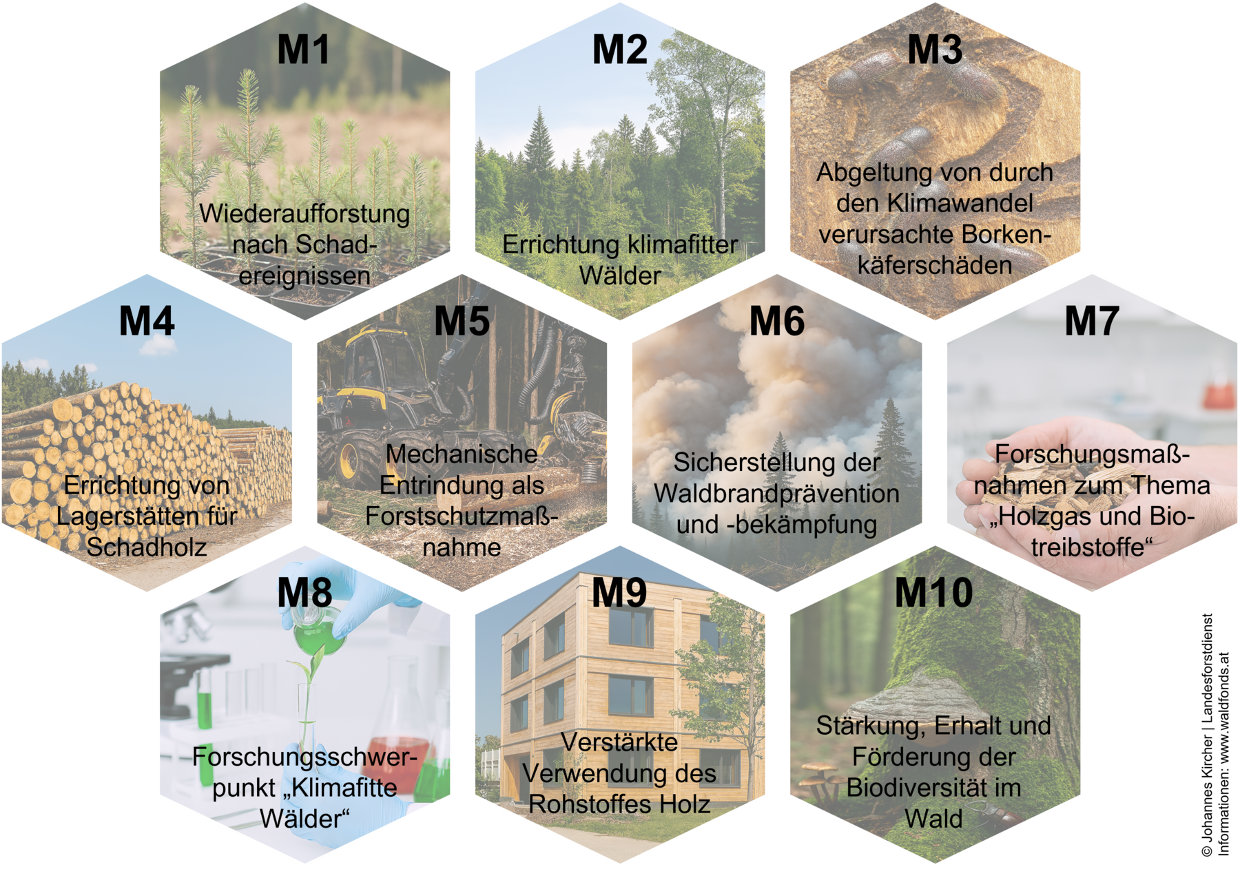10 Maßnahmen.png © Johannes Kircher/Landesforstdirektion