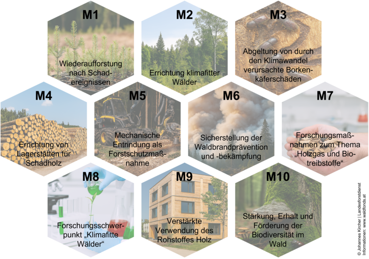 10 Maßnahmen.png © Johannes Kircher/Landesforstdirektion