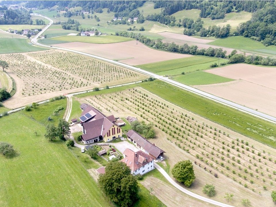 Folie1.jpg © Einspieler