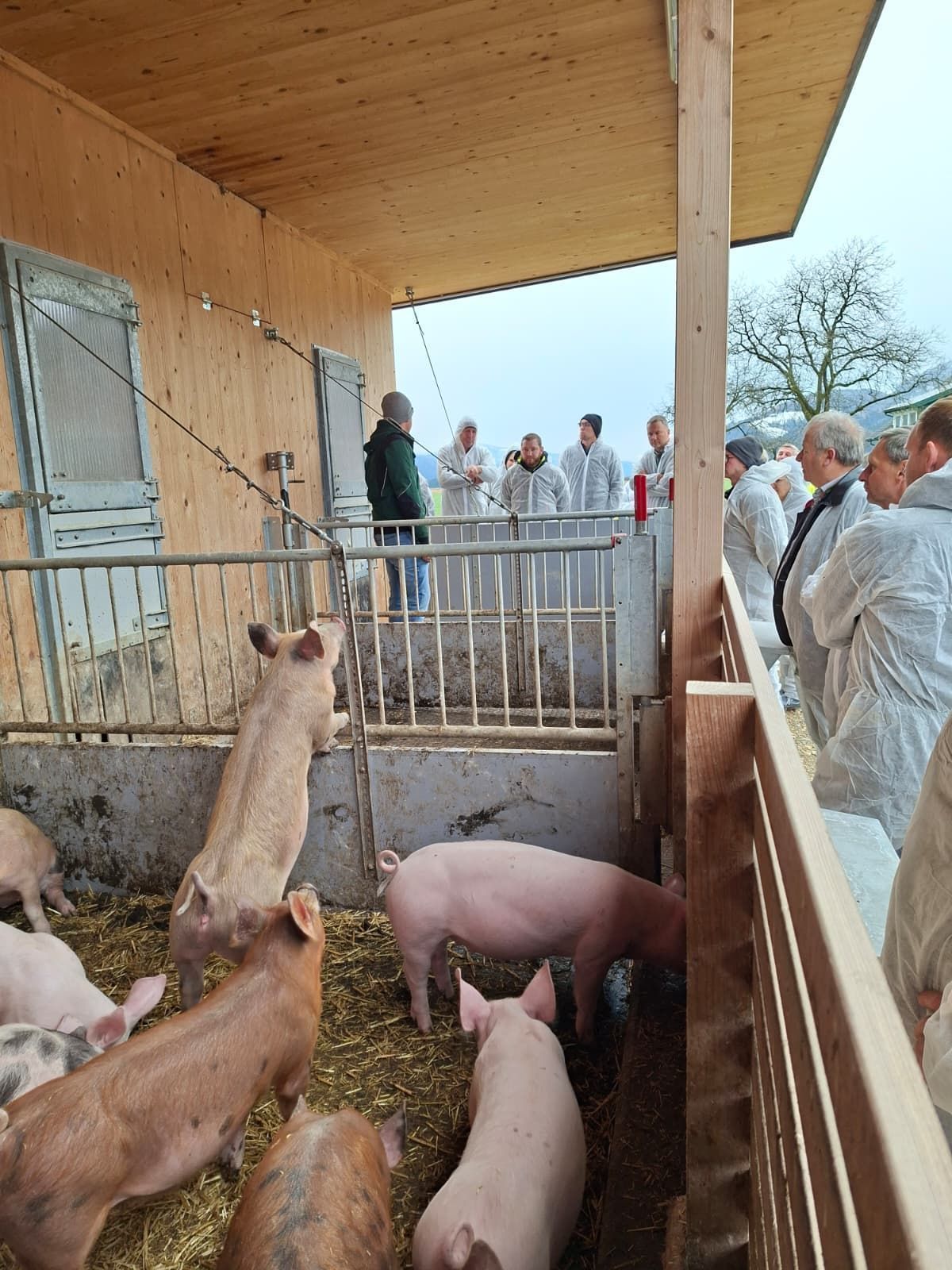 Lanzlhof.jpg © LK Kärnten/Gerl