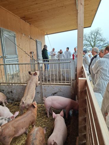 Lanzlhof.jpg © LK Kärnten/Gerl