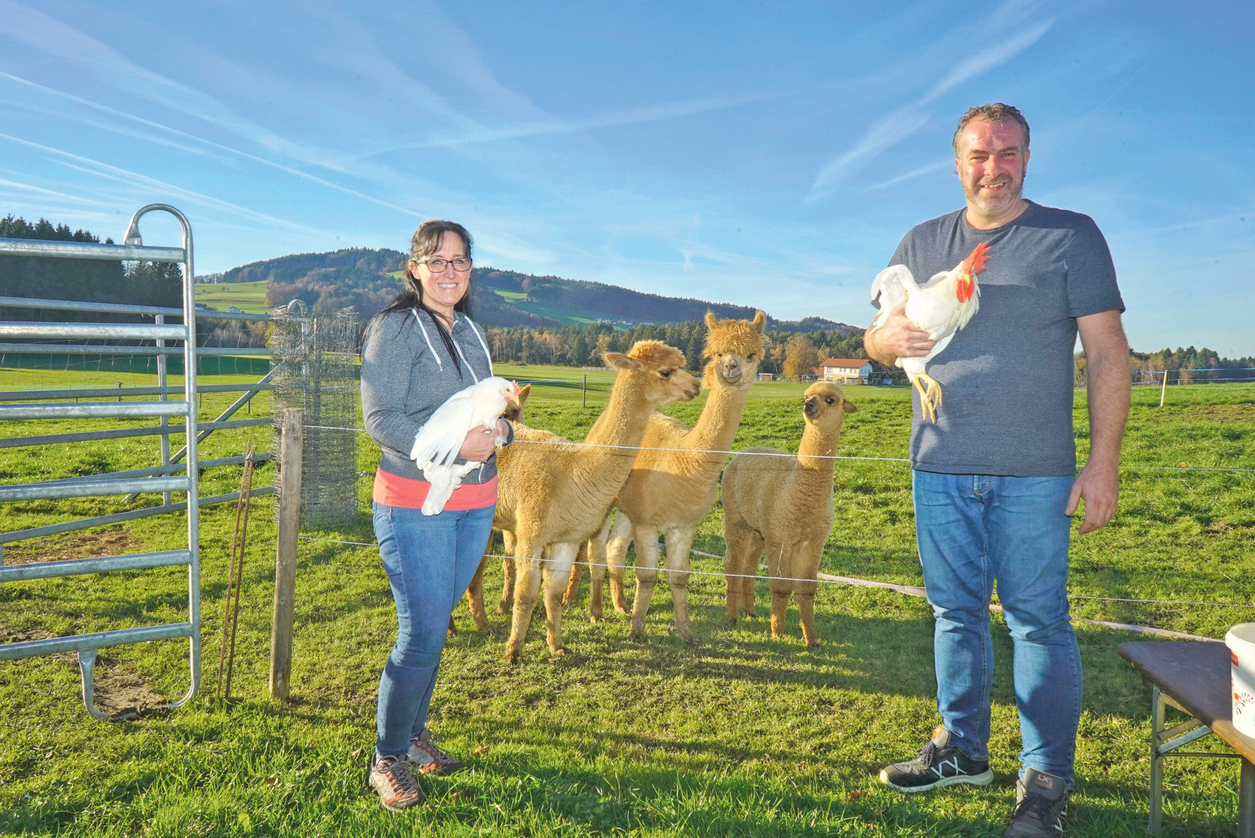 Qualitätsaufzucht: Ein starker Start für Legehennen.jpg © Etter
