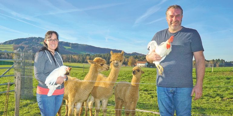 Qualitätsaufzucht: Ein starker Start für Legehennen © Etter