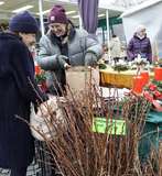 sb49_mt_barb.jpg © Dürnberger