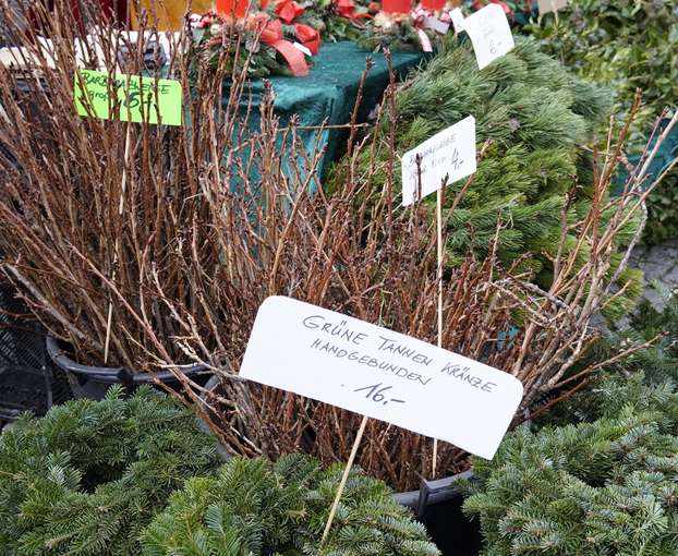 sb49_mt_barbzweige.jpg © Dürnberger