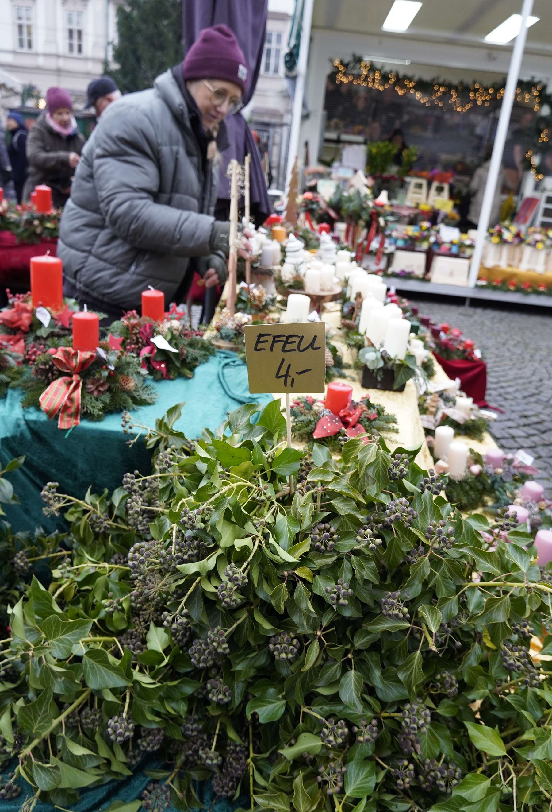 sb49_mt_efeu.jpg © Dürnberger