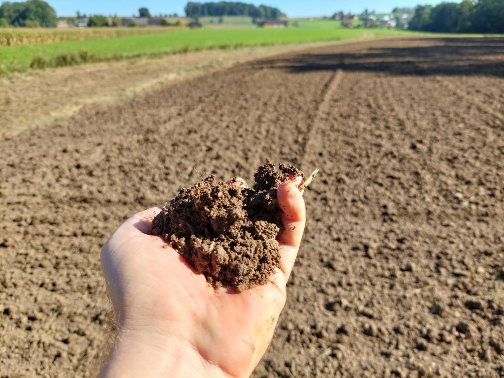 Boden_Hand_BWSB_klein.jpg © Boden.Wasser.Schutz.Beratung