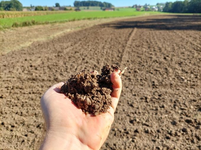 Boden_Hand_BWSB_klein.jpg © Boden.Wasser.Schutz.Beratung