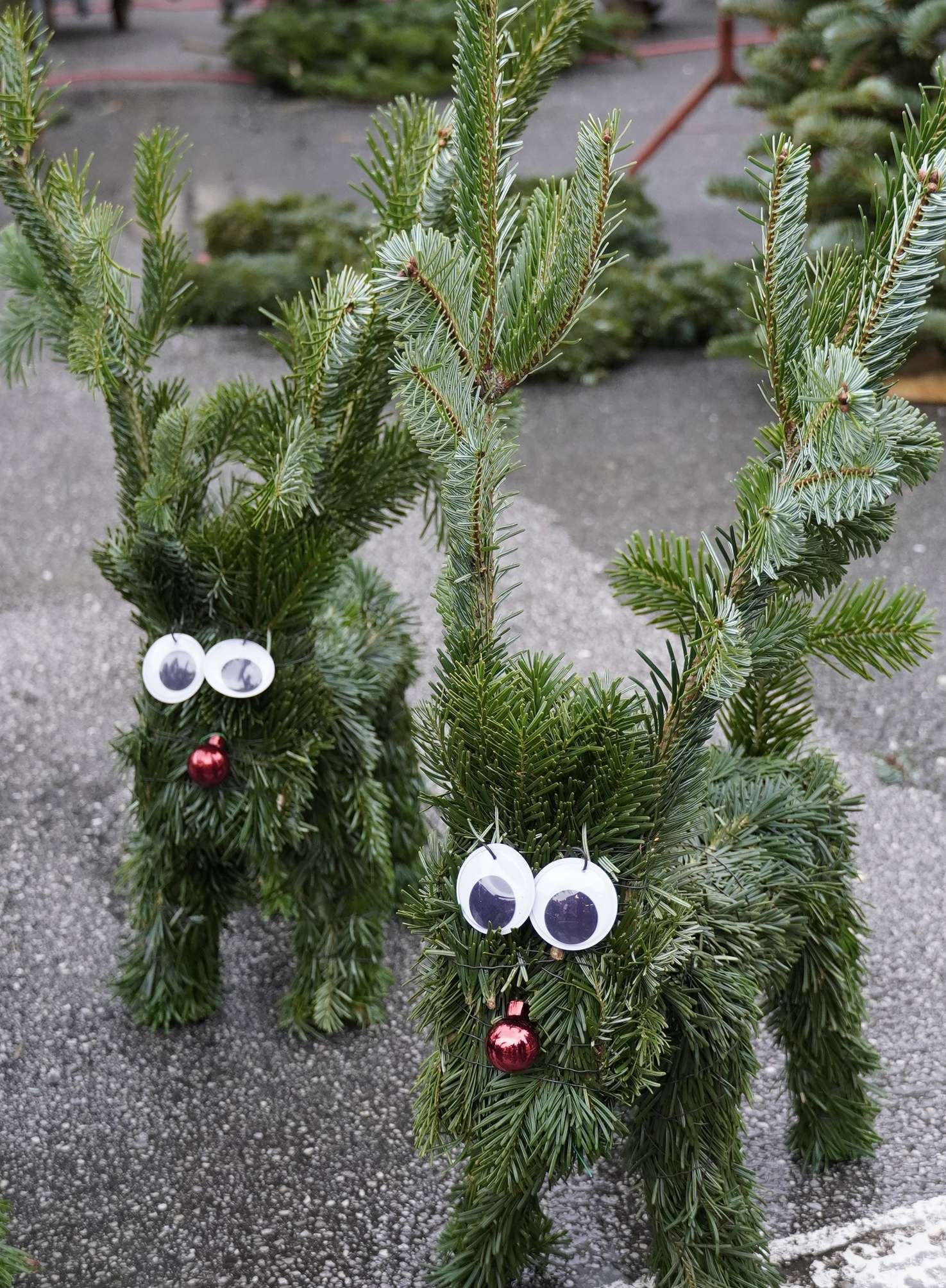 sb49_mt_rentier.jpg © Dürnberger