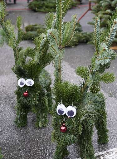 sb49_mt_rentier.jpg © Dürnberger