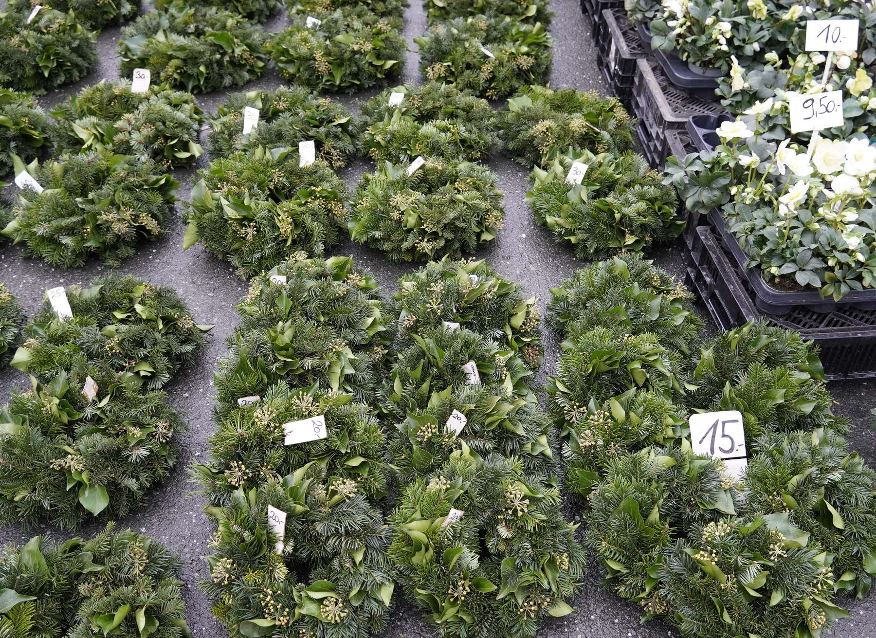 sb49_mt_kränzeleer.jpg © Dürnberger