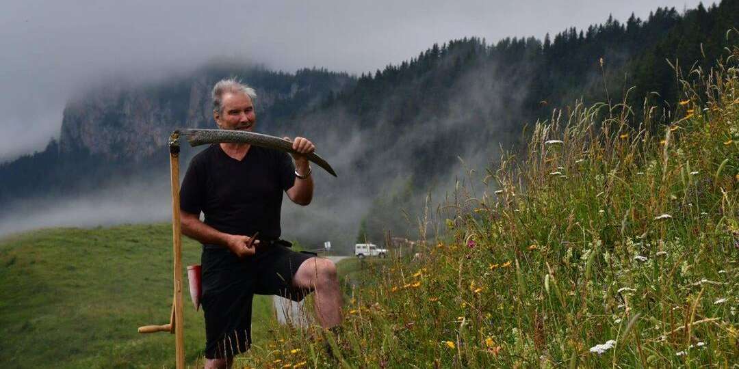 Tyrnaueralm © LK Stmk-Anton Hafellner