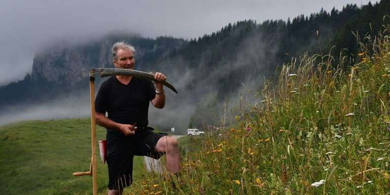 Tyrnaueralm © LK Stmk-Anton Hafellner