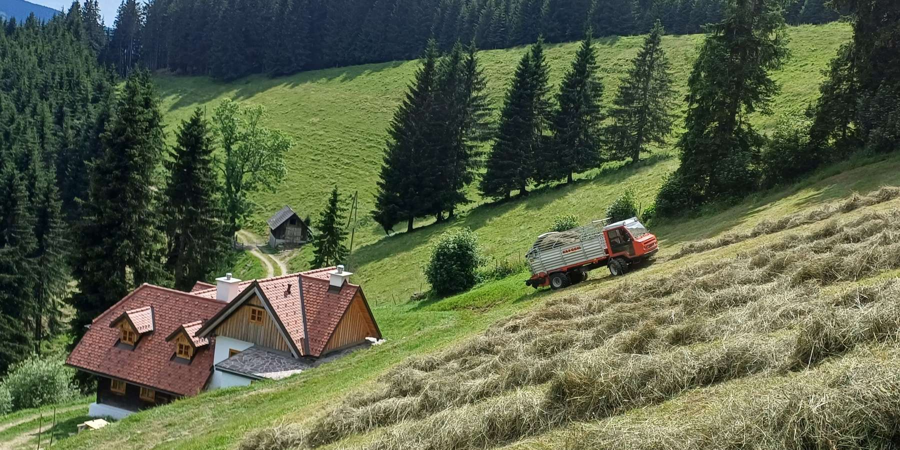 Heuernte © Robert Stelzer