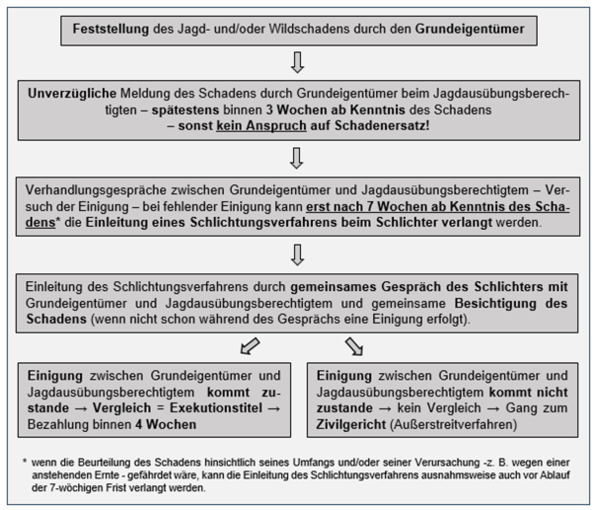 Ablauf Wildschadensverfahren.png © Archiv