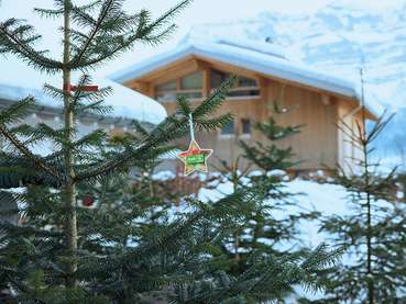 Ländle Christbaum.jpg © Christoph Pallinger