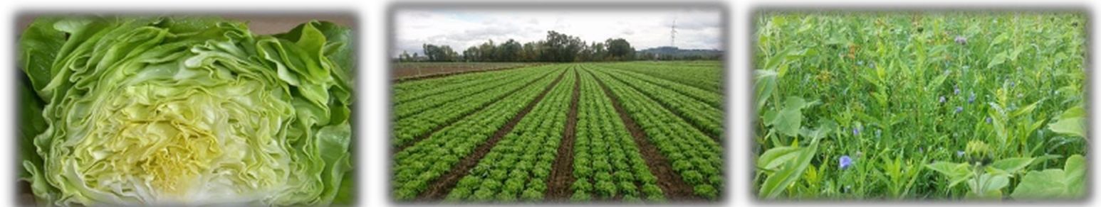 Grundwasserschutzprojekt Pupping.jpg