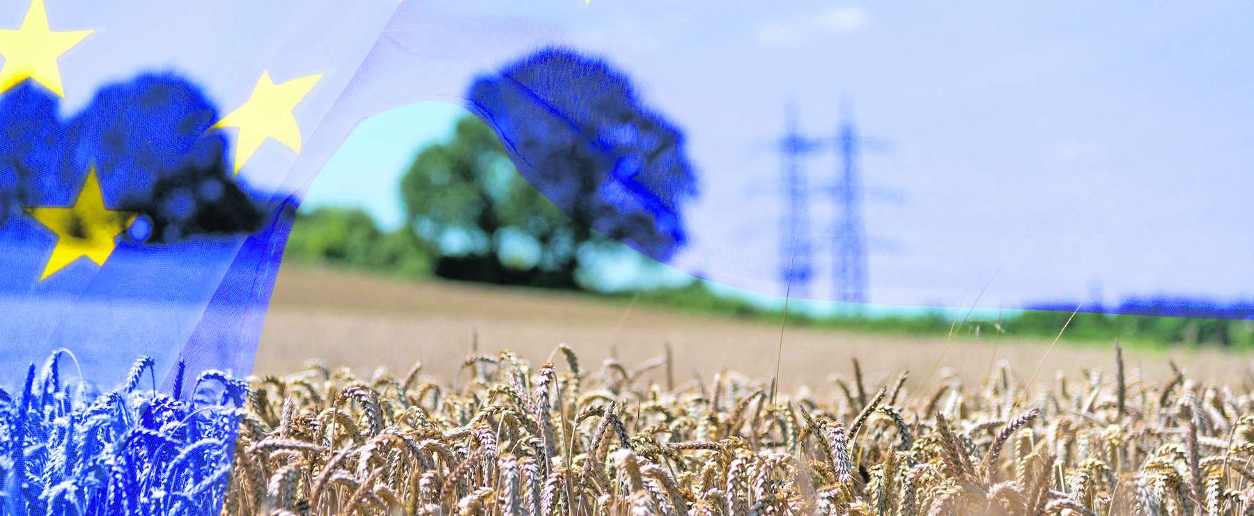 Bioökonomie.jpg © AdobeStock_351488001