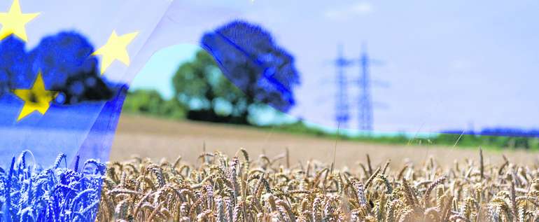 Bioökonomie.jpg © AdobeStock_351488001