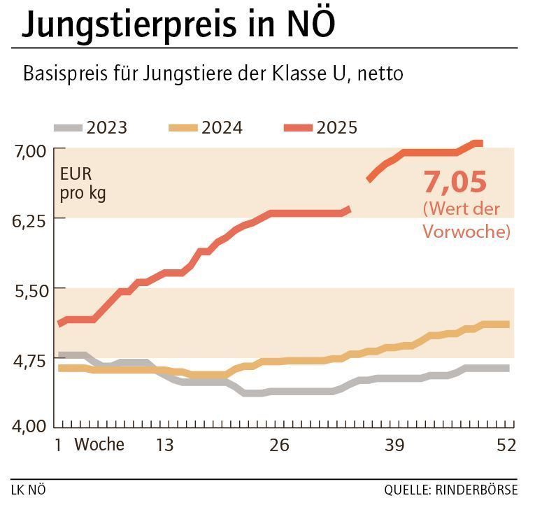 Grafik Stierpreis 50_2025.jpg © LK NÖ