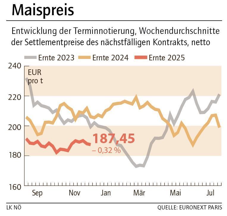 Grafik Maispreis 50_2025.jpg © LK NÖ