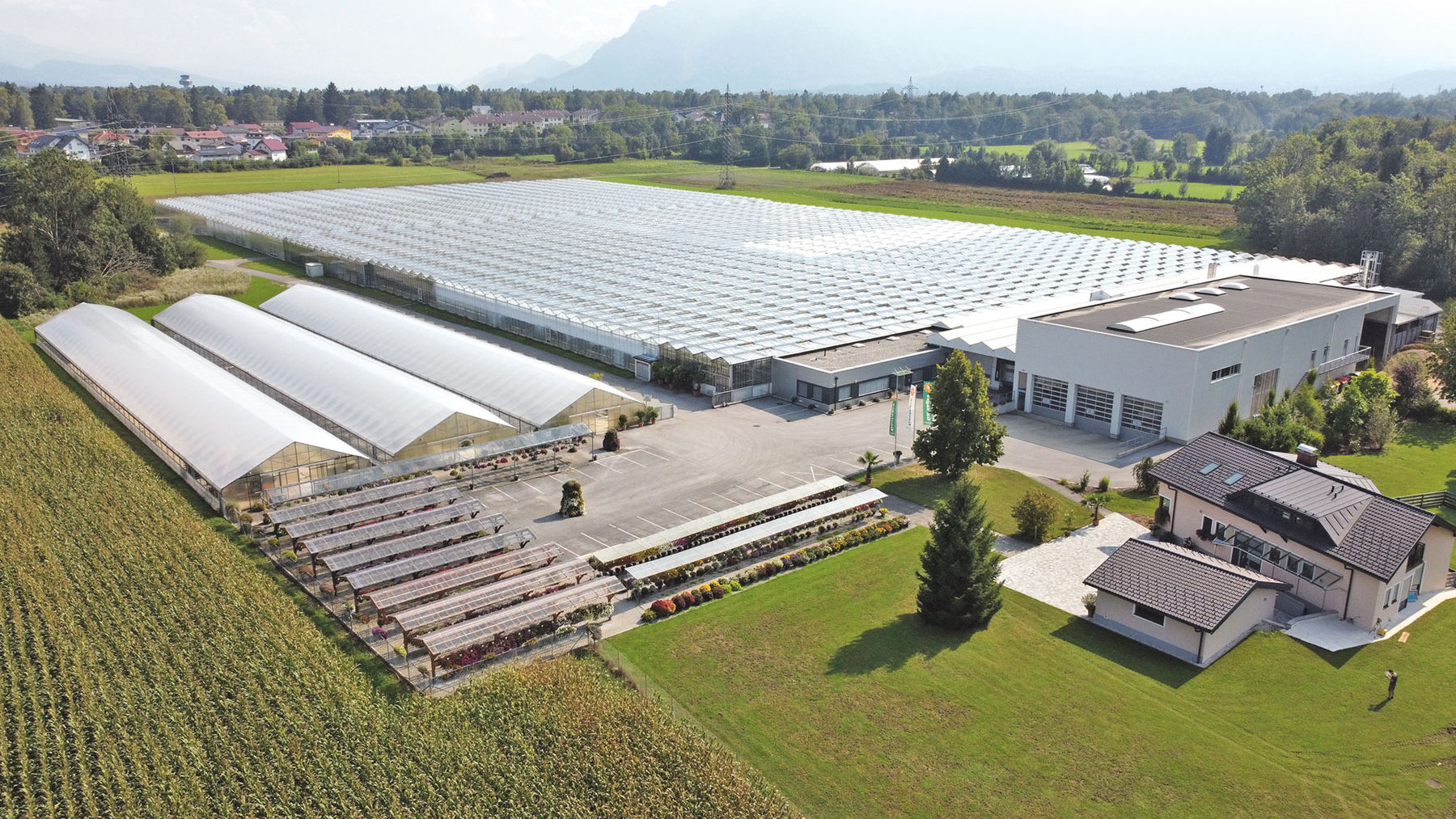 Weihnachten beginnt bereits im Frühsommer.jpg © Gastager