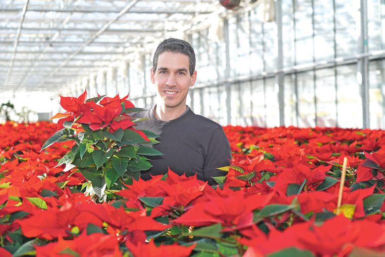 Weihnachten beginnt bereits im Frühsommer.jpg © Hatheier