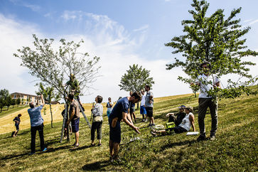 [1765443751979427.jpg]