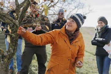 [1765443763666332.jpg]