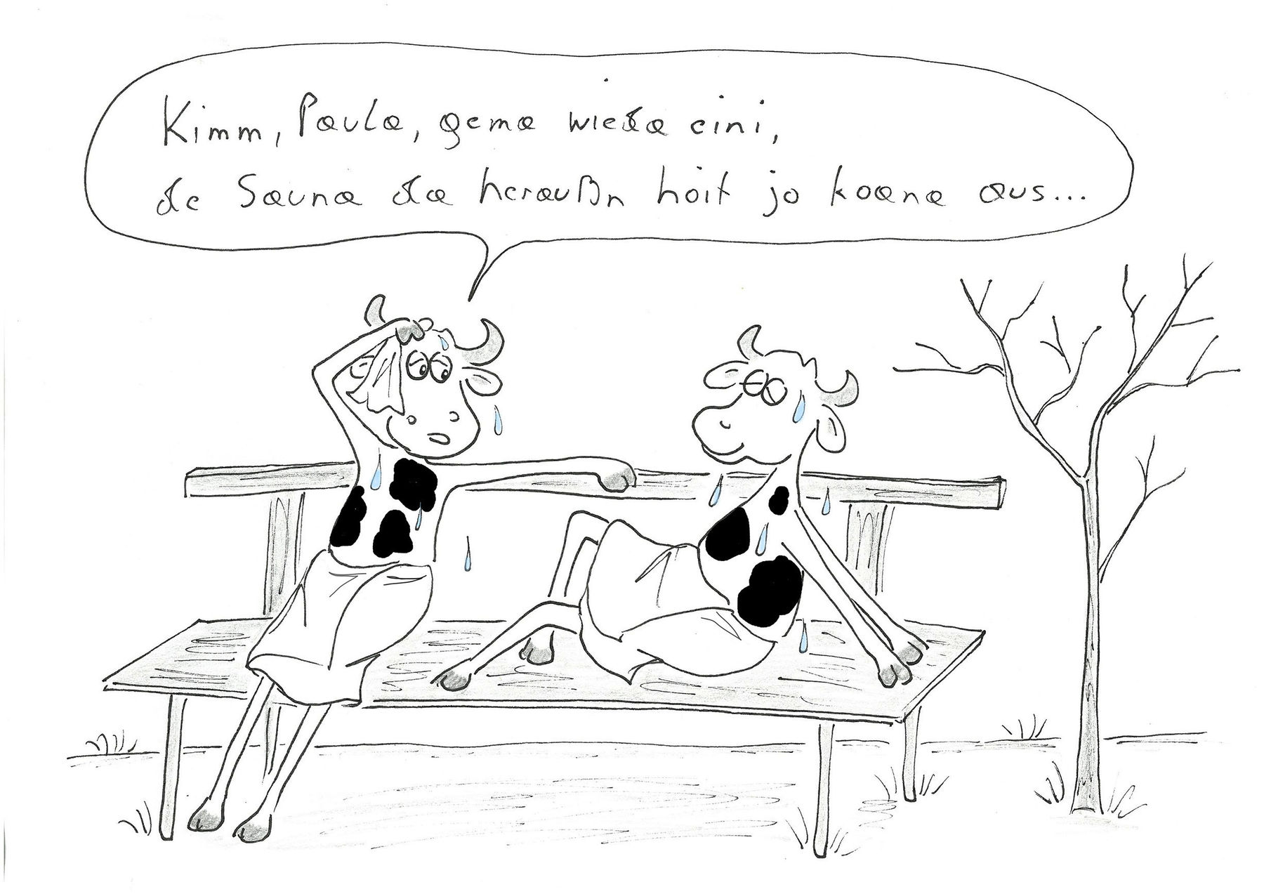 Weihnachtstauwetter.jpg © Mitterwallner