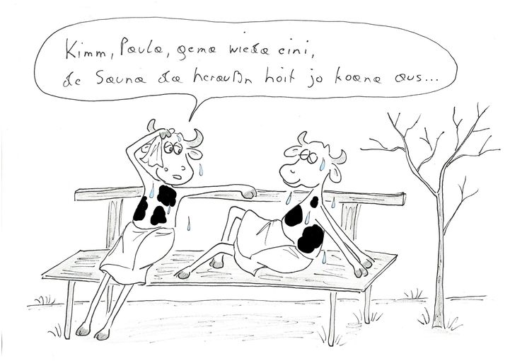 Weihnachtstauwetter.jpg © Mitterwallner