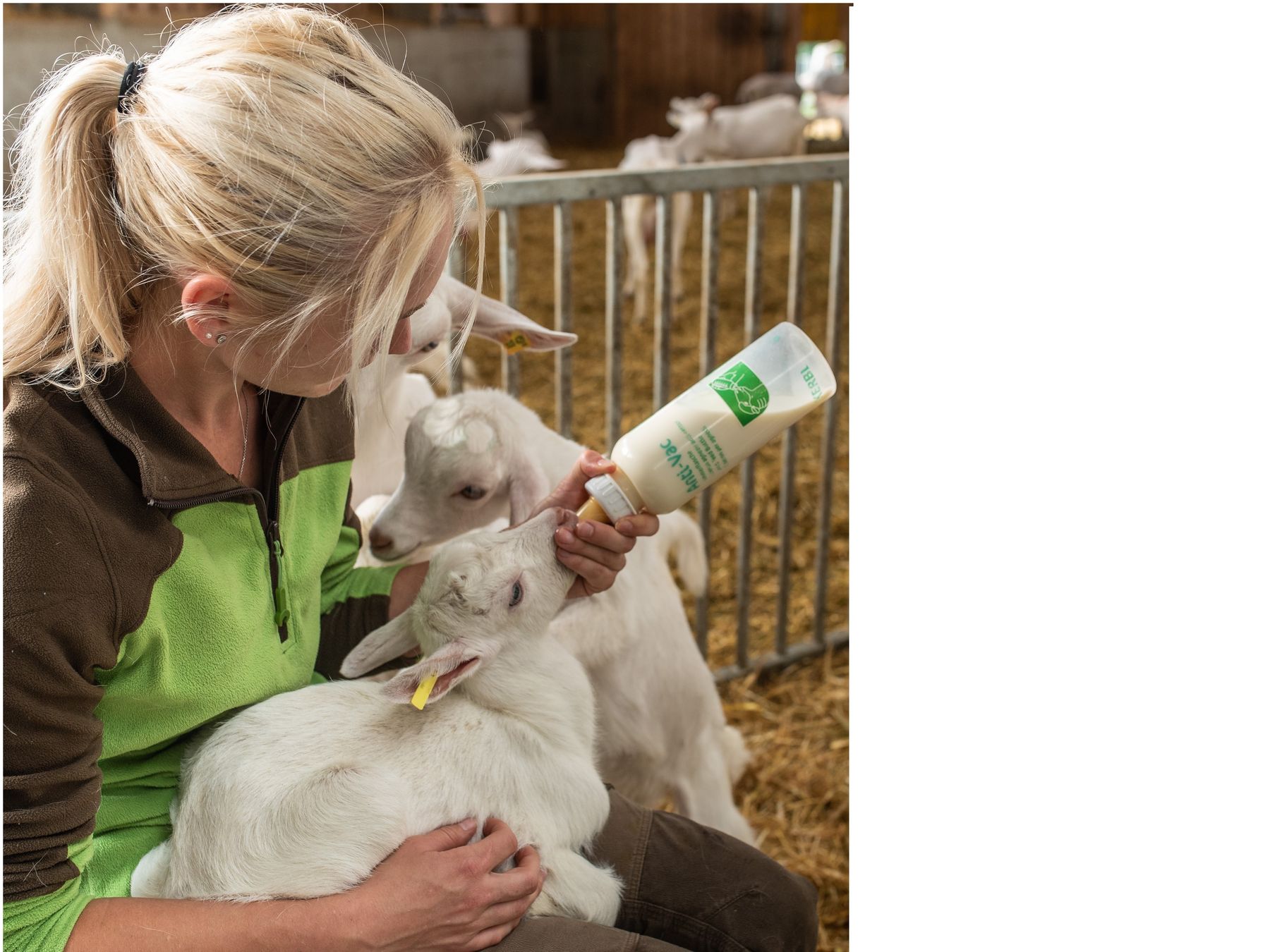 Flaschenkitz.jpg © Agrarfoto