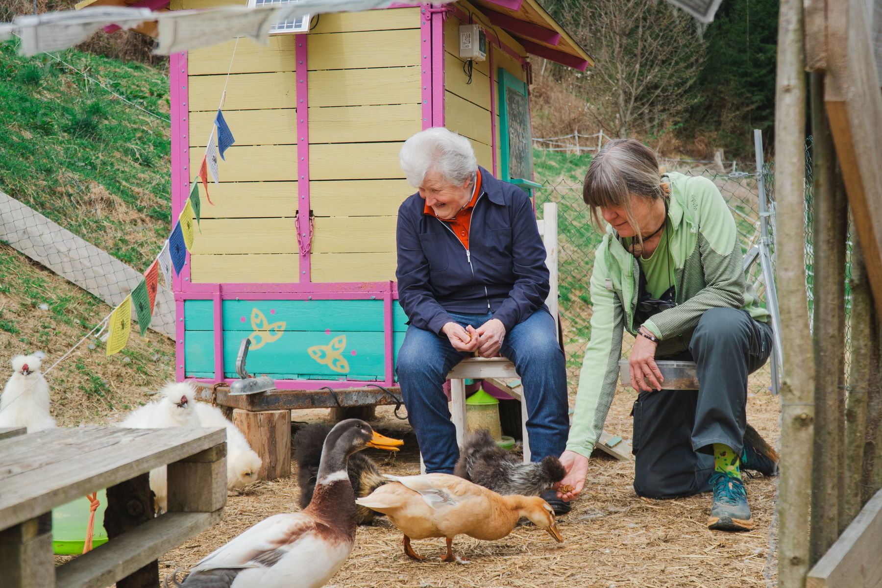 gemeinsames Hühnerfüttern (C) brahmahof.jpg © bramahof/Green Care