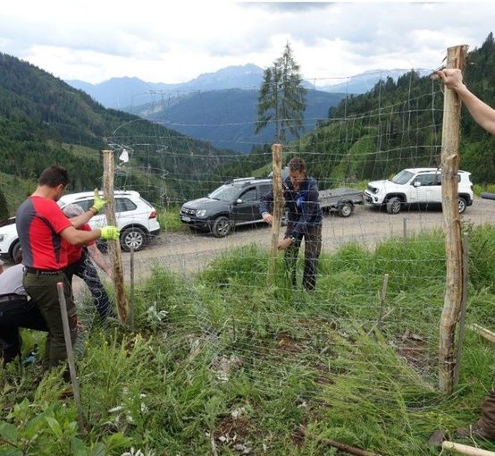 Kleingruppenschutz.jpg © Thomas Leitner