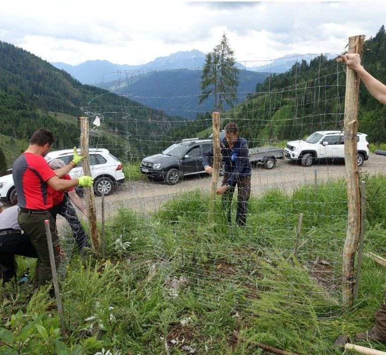 Kleingruppenschutz.jpg © Thomas Leitner