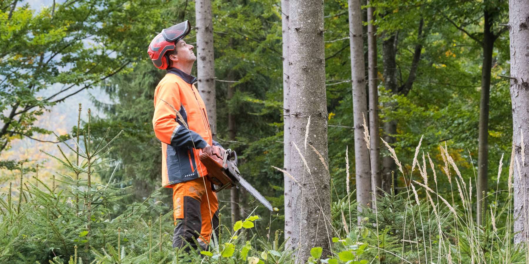 Waldarbeiter © Friedrich Baumann-LK Steiermark