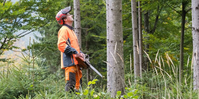 Waldarbeiter © Friedrich Baumann-LK Steiermark