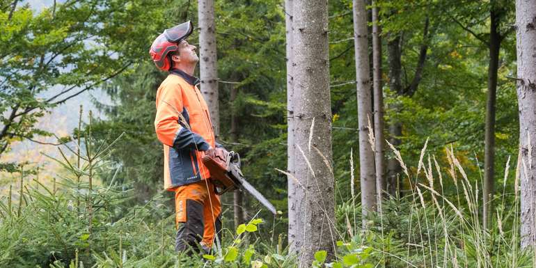 Waldarbeiter © Friedrich Baumann-LK Steiermark