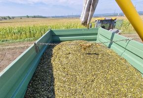 [1765532828334668_5.jpg]