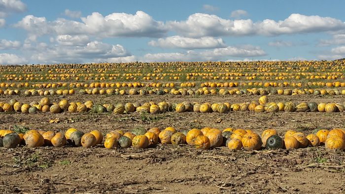 [1765533582813854_1.jpg]