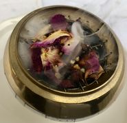 IMG_3731.jpg © Haider